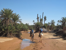 Morocco-Morocco-Nomad's Land